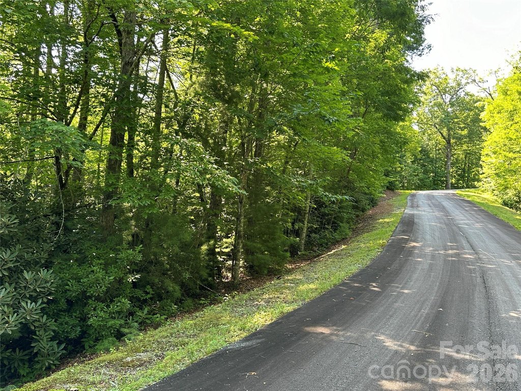 Picture 41