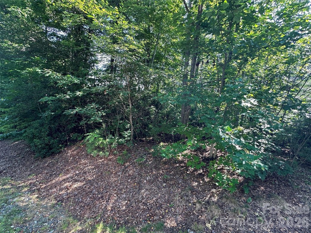 Picture 29