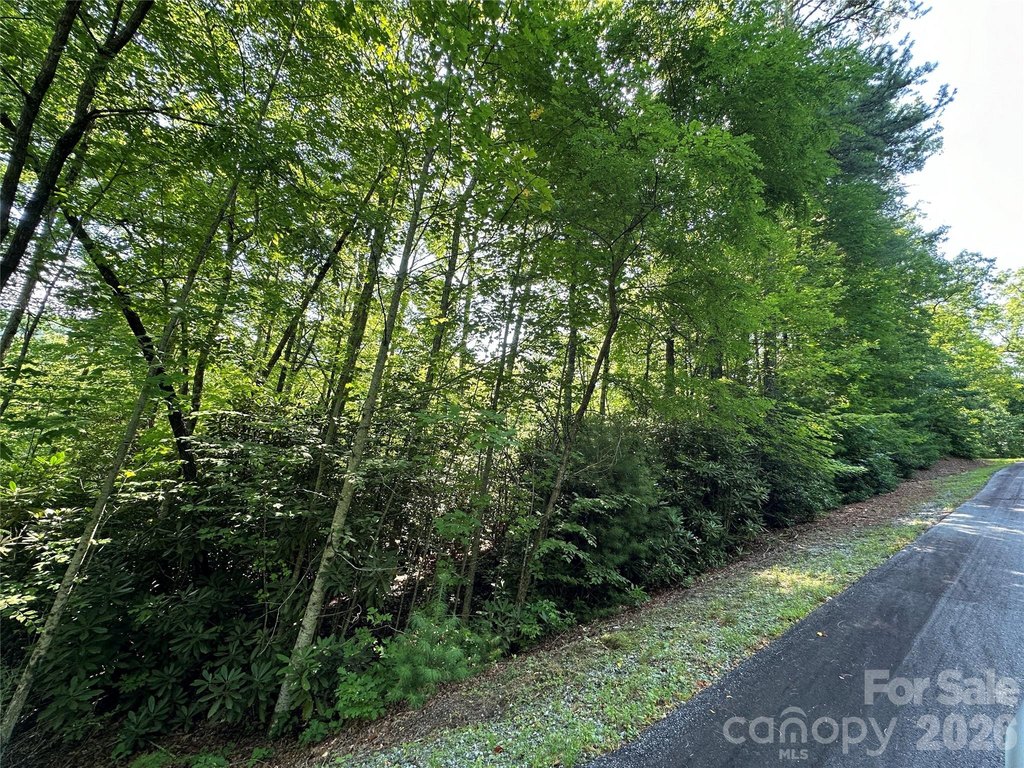 Picture 38