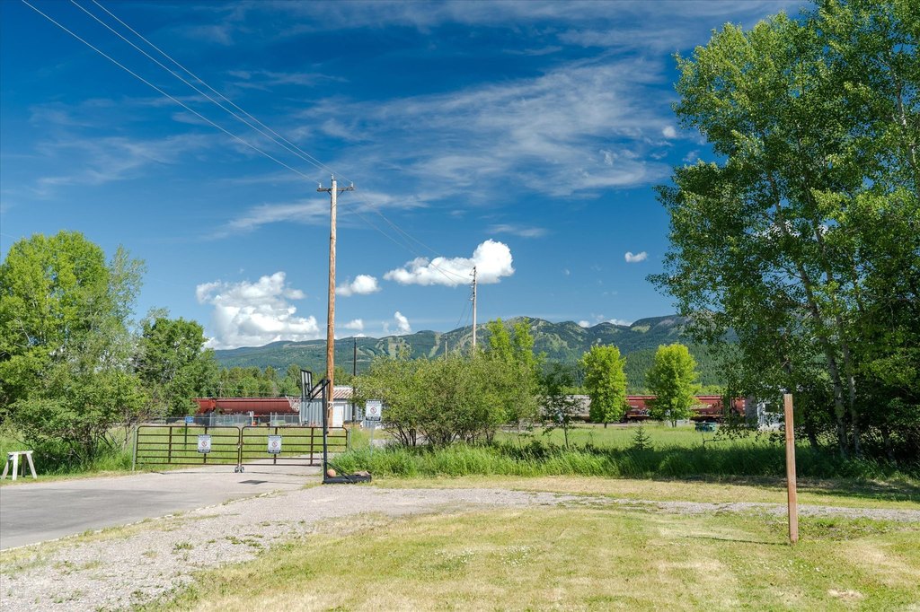 Picture 8