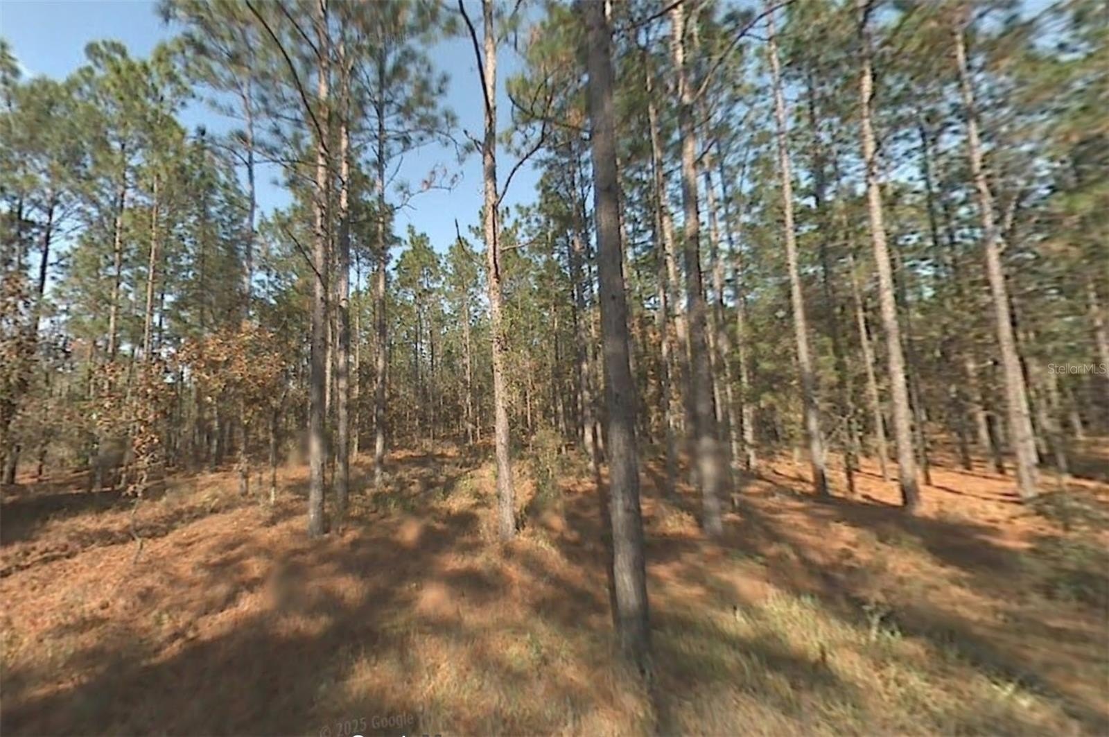 Spacious Lot in Dunnellon, FL