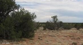 Heber, AZ Land For Sale
