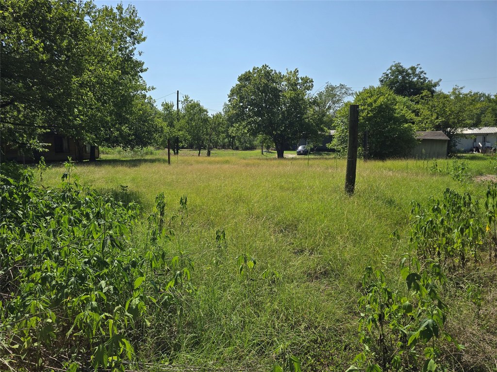 Picture 8
