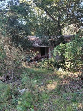 Land, Cottondale, AL