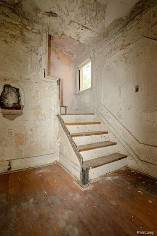 Picture 15