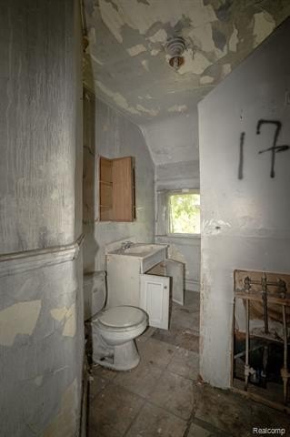 Picture 46