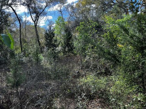 Old Town Vacant Land Parcel
