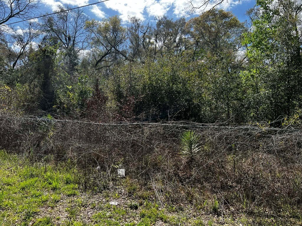 Picture 5