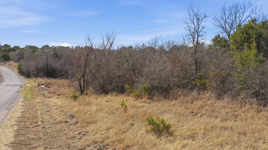 Picture 15