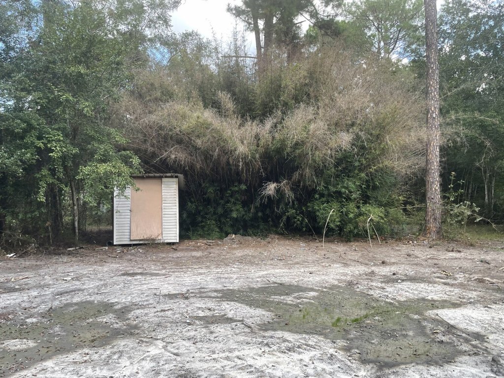 Picture 3