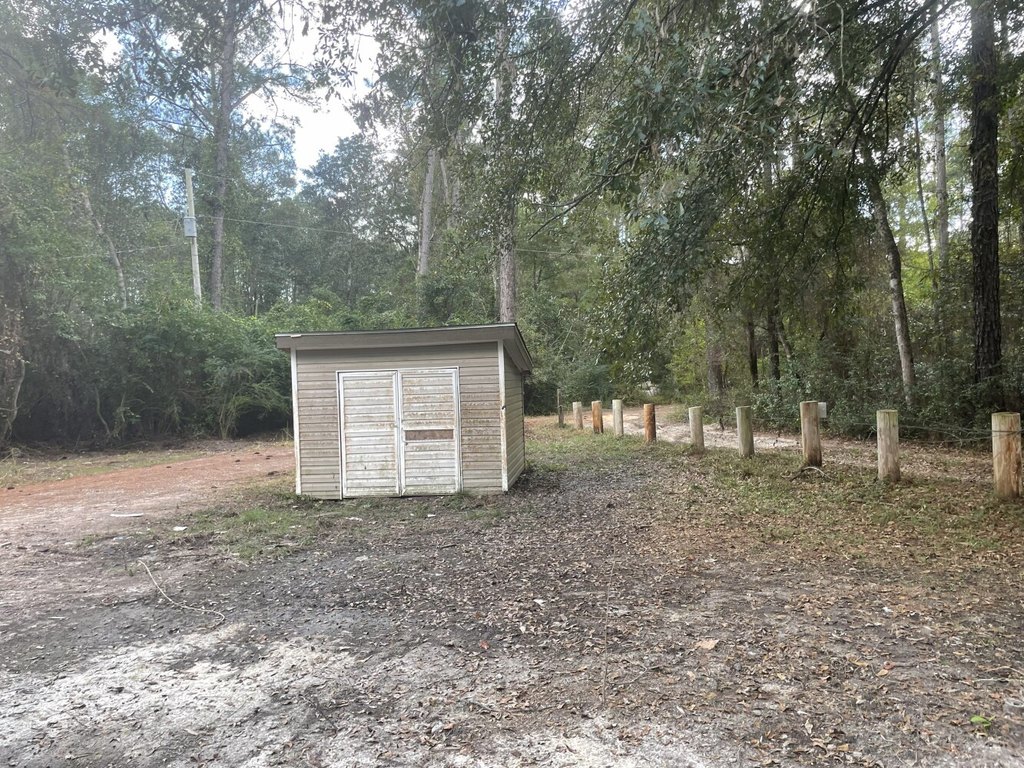 Picture 4