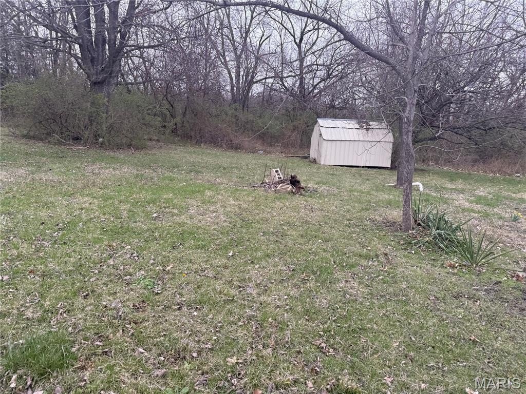Picture 5