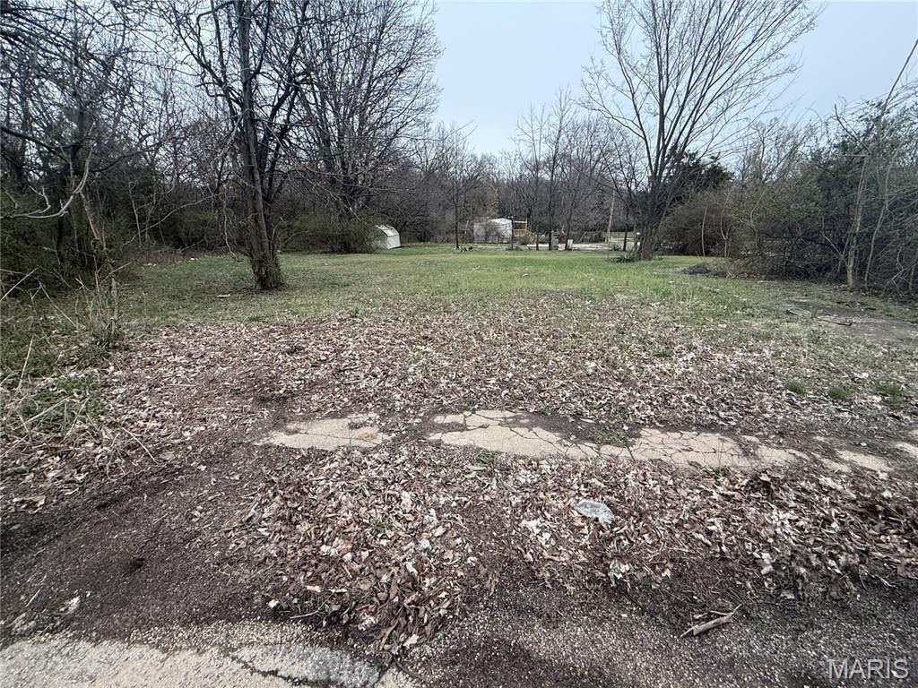 Picture 7