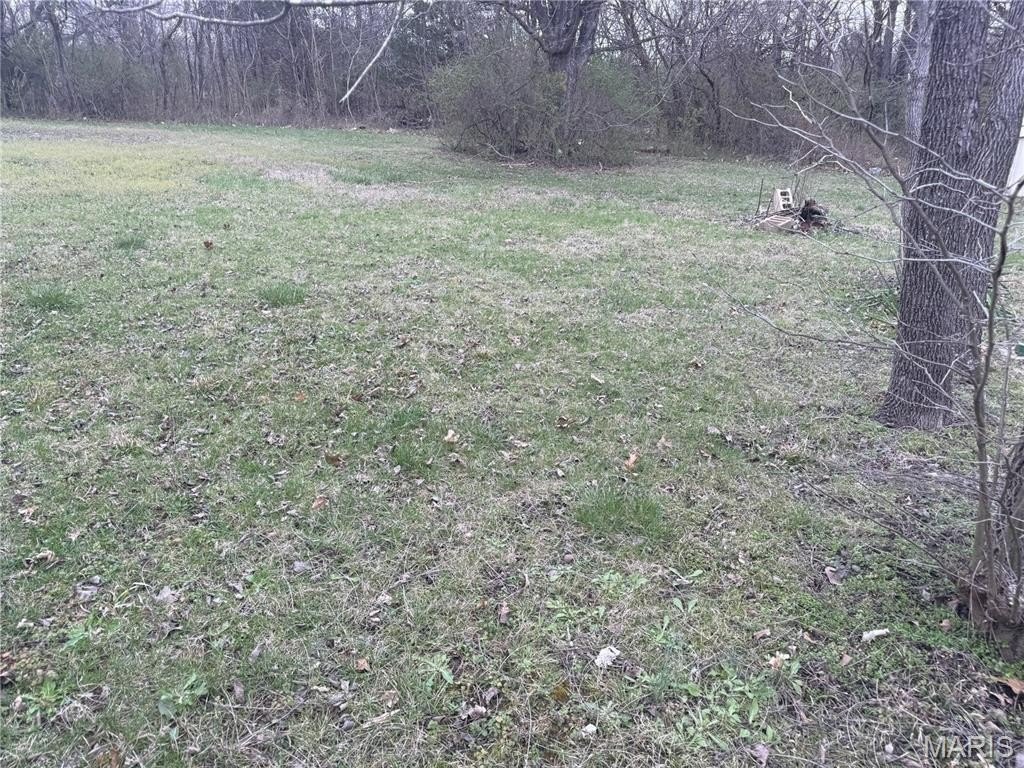 Picture 4