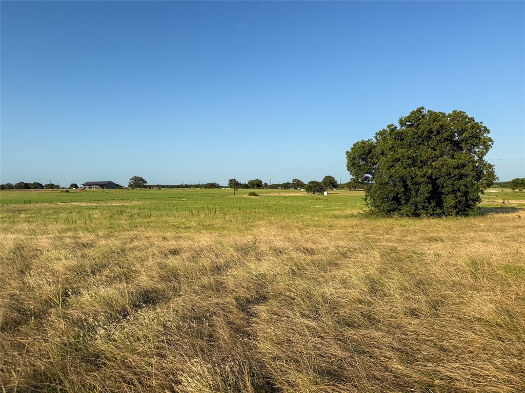 Picture 23