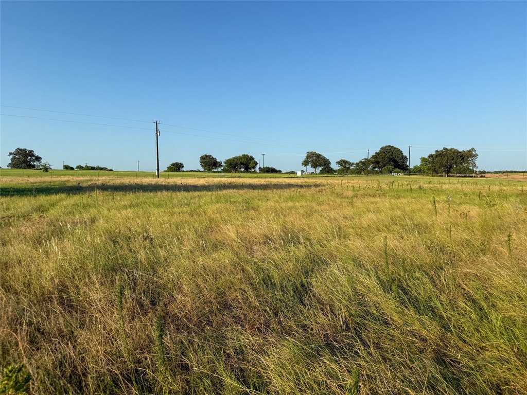 Picture 25