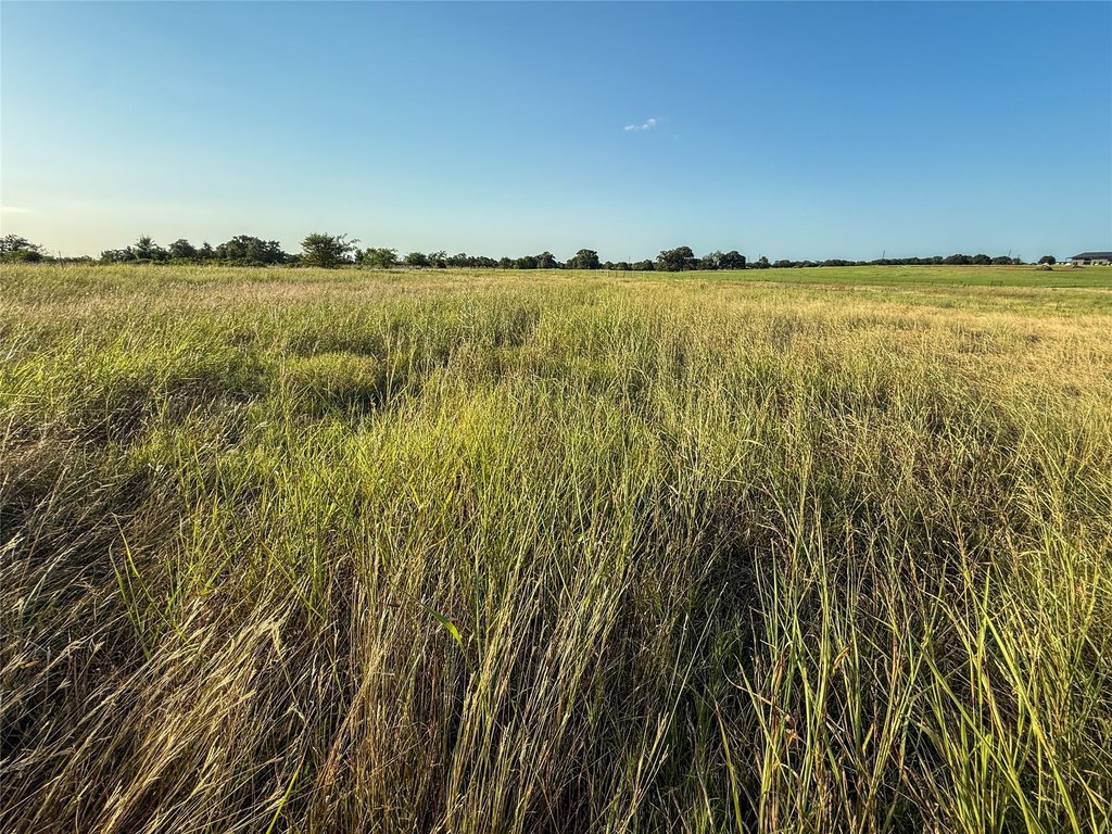 Picture 22