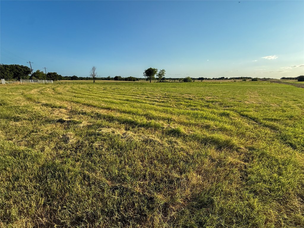 Picture 20