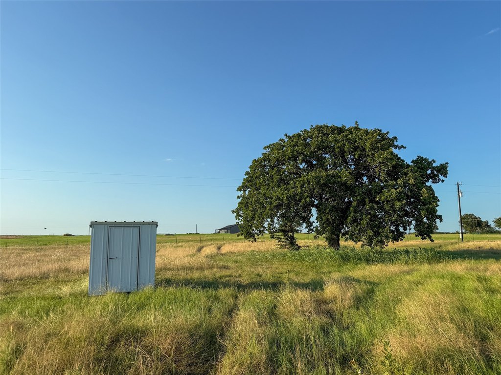Picture 24