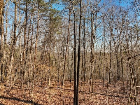 Land, Murrayville, GA