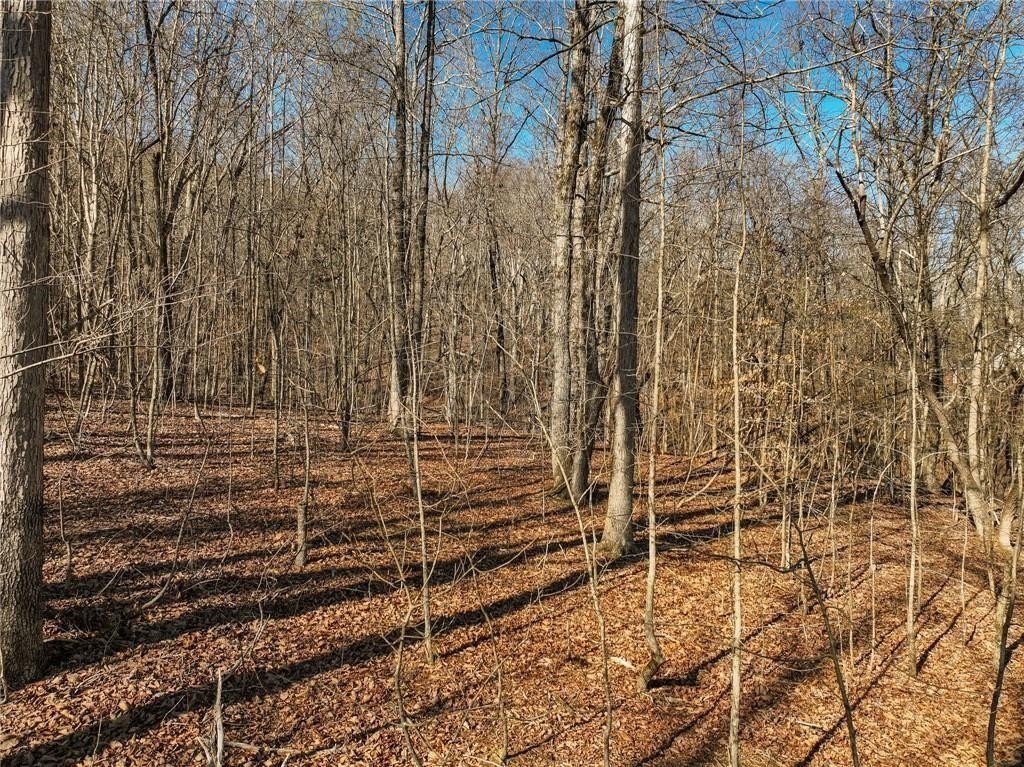 Picture 15