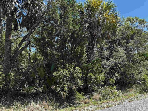 LAND - Crawfordville, FL