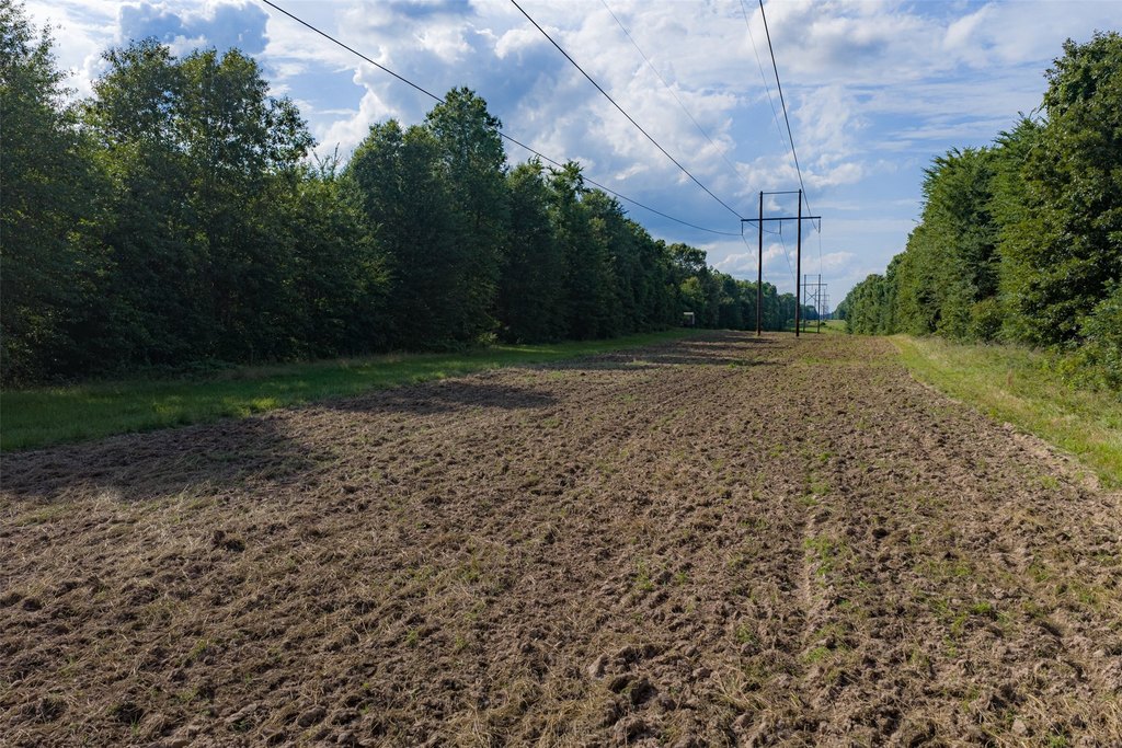 Picture 26