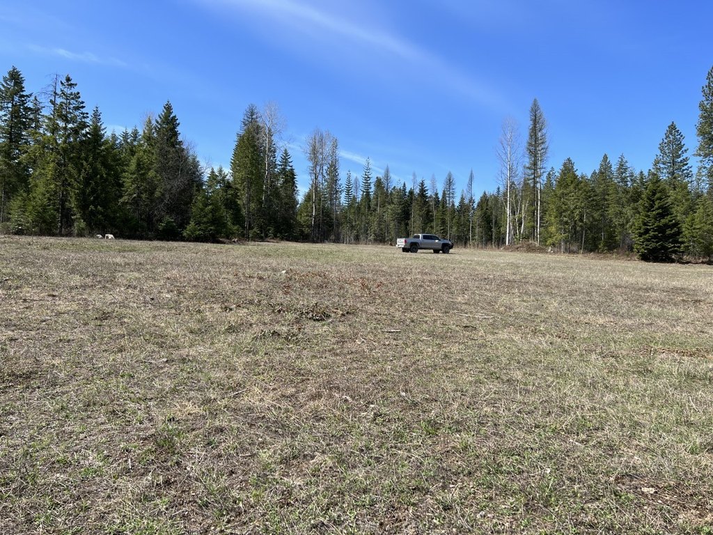 Picture 20