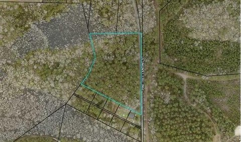 6.2 Acres Wooded Land