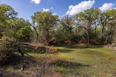 10-Acre Farmland Tract