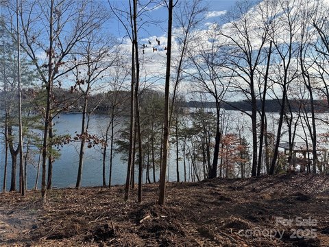 Waterfront Lot with Big Views