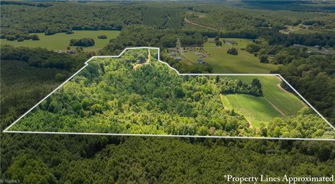 Agricultural Land with Natural Springs
