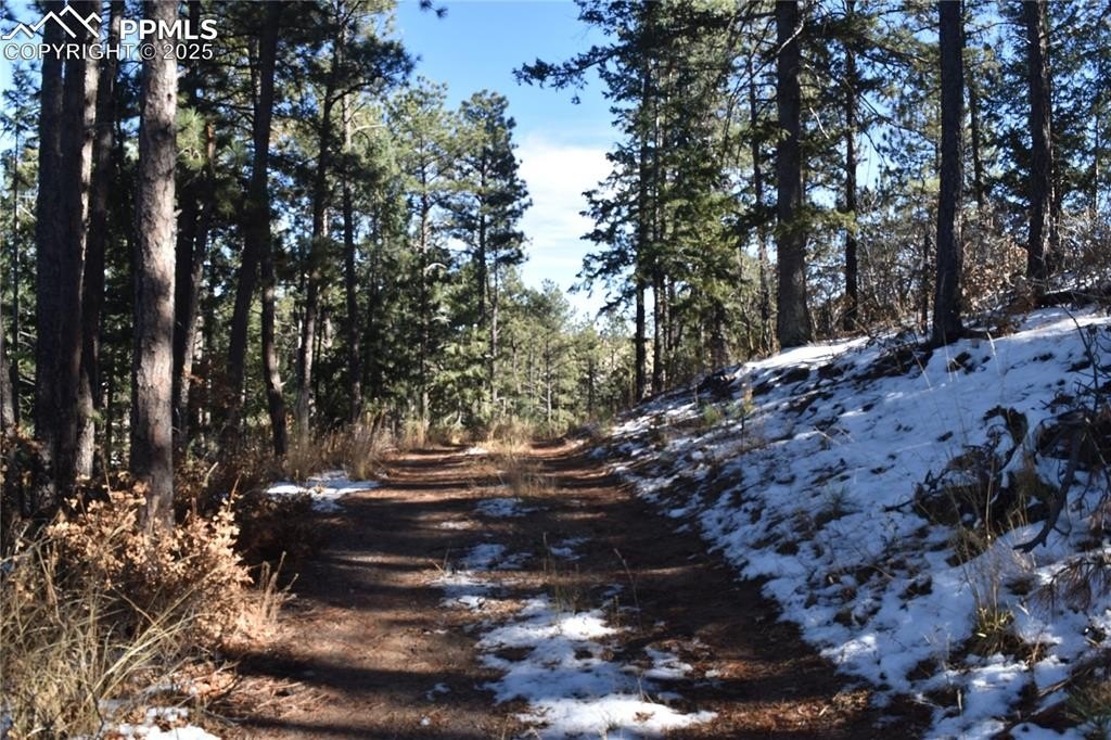 Larkspur Private Wooded Home Site