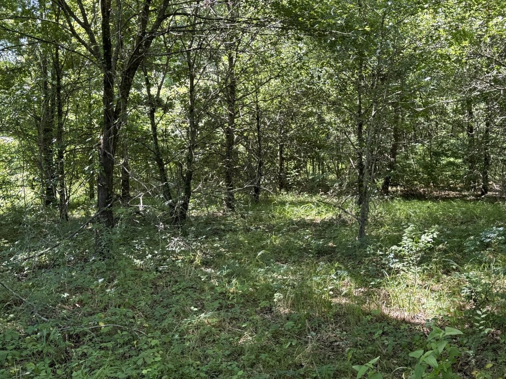 Picture 5