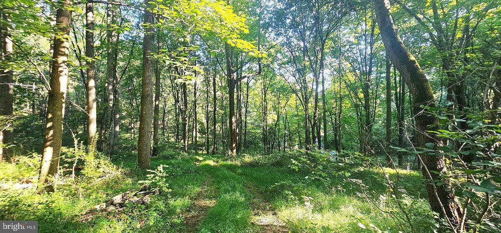 Picture 3