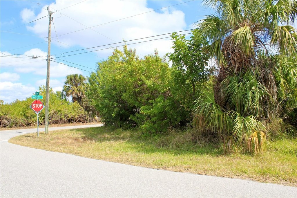 Picture 6