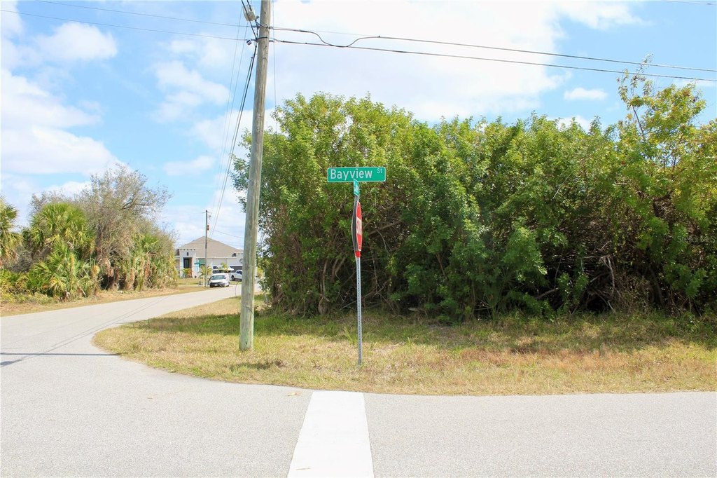 Picture 15