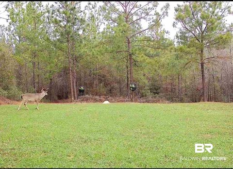 Residential Land in North Baldwin
