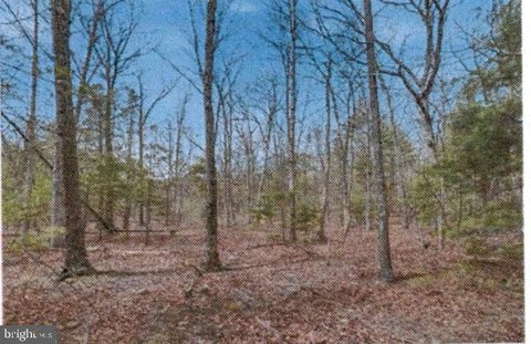 Land, WINCHESTER, VA