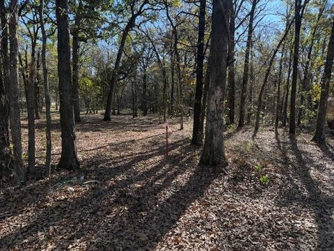 Wooded Lot Near Lake Texoma