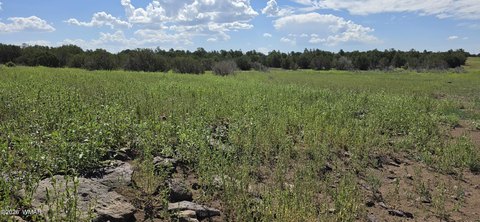Land, Concho, AZ