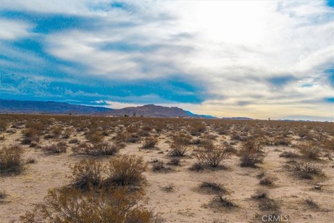 20-Acre Joshua Tree Land Parcel