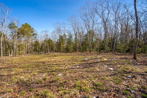 Cleared Land Parcel in Bristol