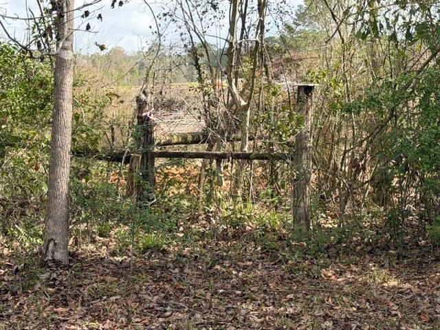 Picture 23