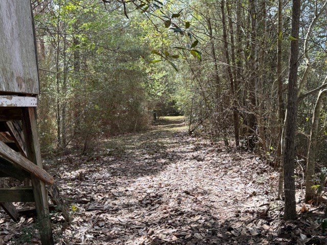 Picture 12