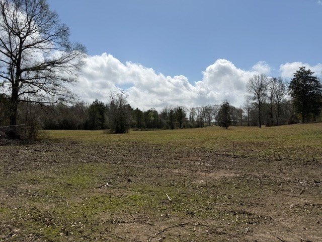 Picture 32