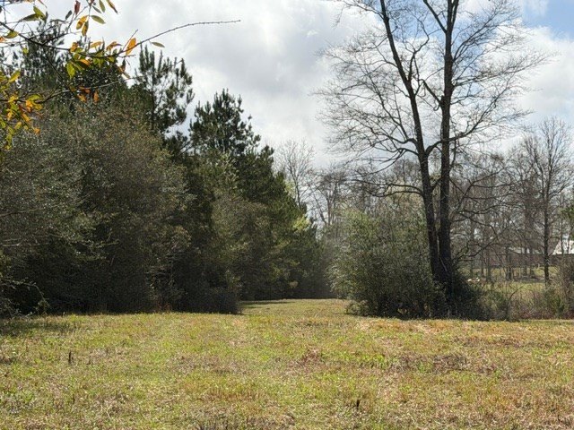 Picture 29