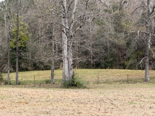 Picture 20