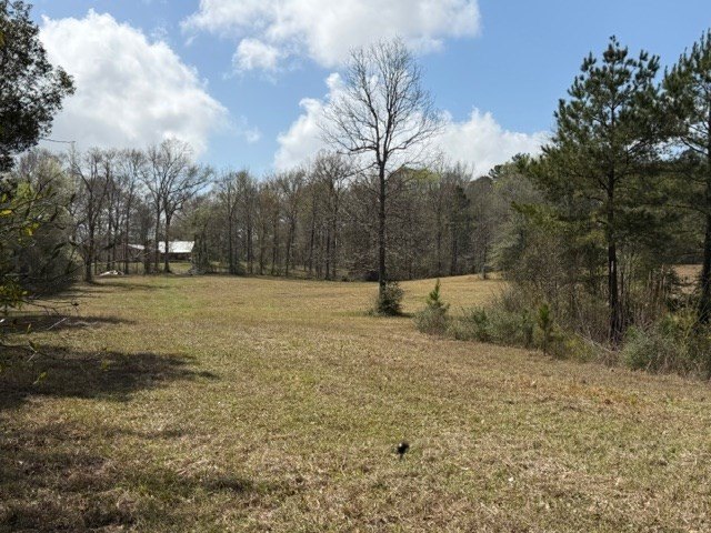 Picture 28