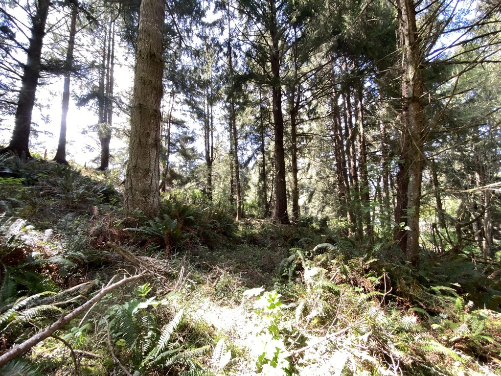 Picture 24